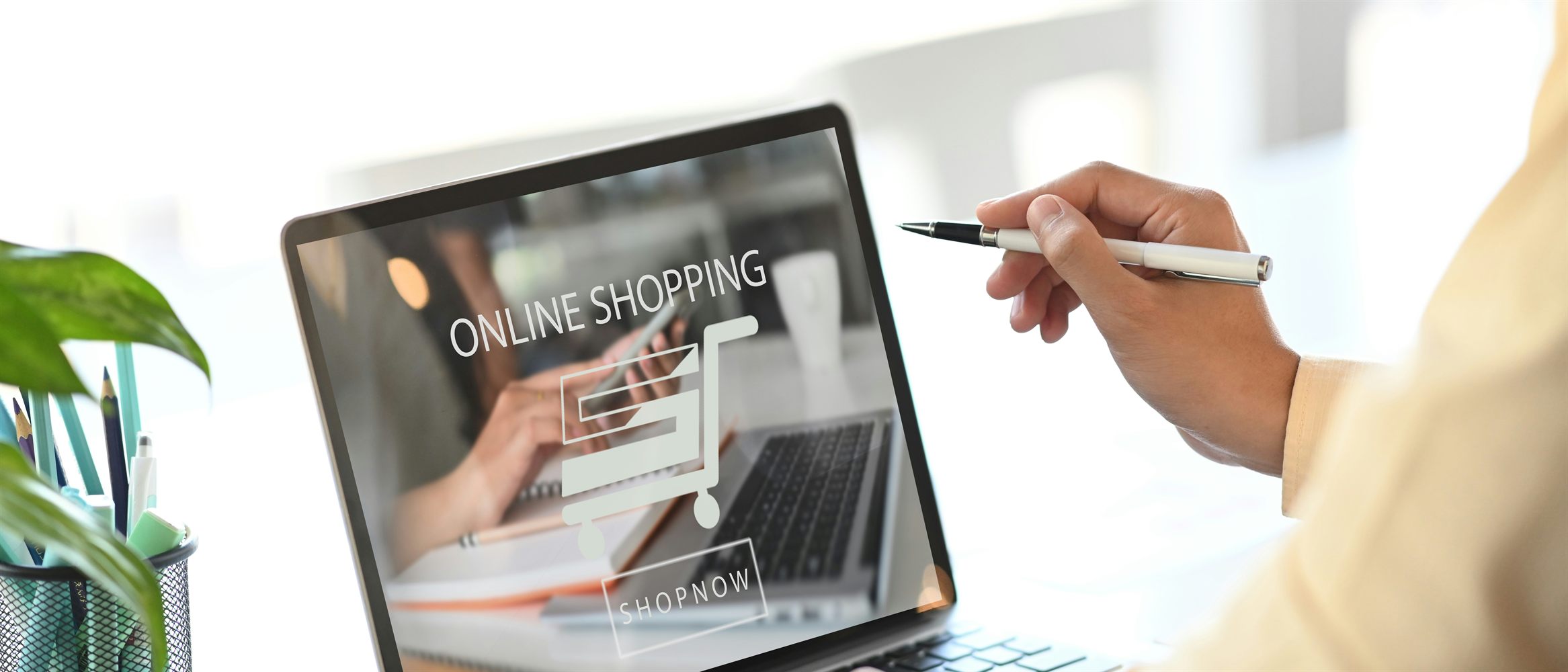 An online store being reviewed on a laptop